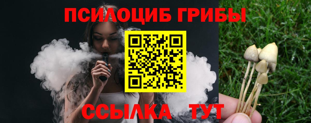 Советский  Псилоцибиновые грибы прущие грибы  Вход с VPN  где можно купить наркотик  Галлюциногенные грибы мицелий 