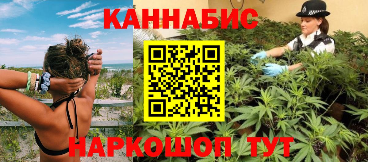 Шишки марихуана план  Марихуана марихуана  Вход с VPN  Советский  Шишки марихуана MAZAR 